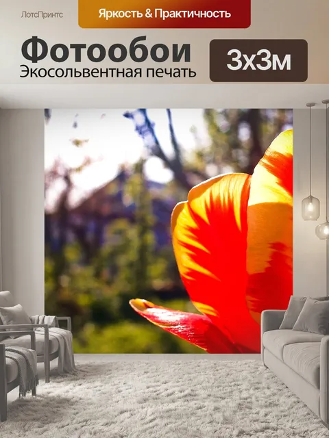 Фотообои Цветы