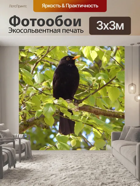 Фотообои Птица