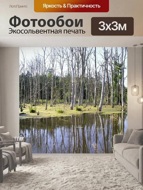 Фотообои Болото