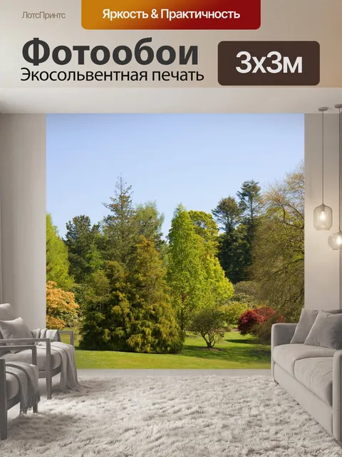 Фотообои Красивые деревья