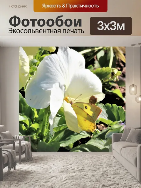 Фотообои Пэнси с бабочкой и улиткой