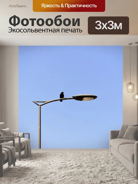 Фотообои Птица на фонарном столбе
