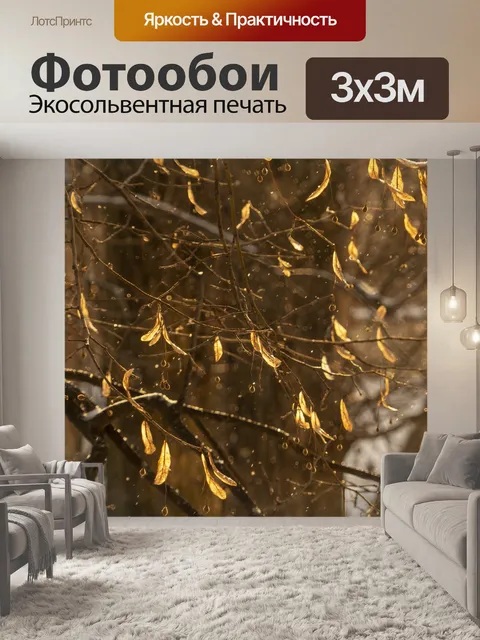 Фотообои Дерево