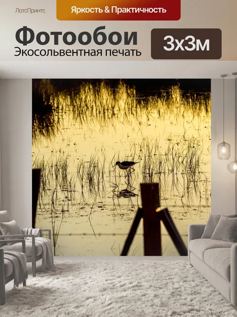Фотообои Птица