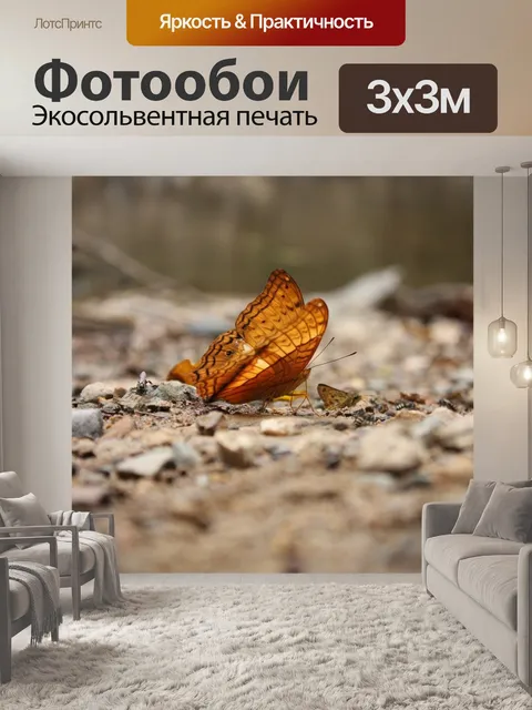 Фотообои Бабочка