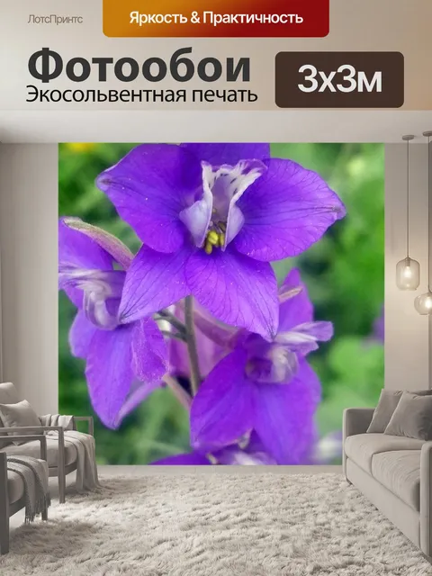 Фотообои Роза