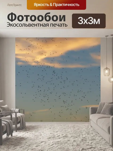 Фотообои Бред