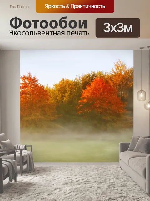 Фотообои Осень деревья листва осень листва