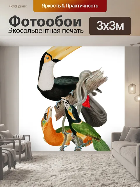 Фотообои Тукан старинные художественные иллюстрац