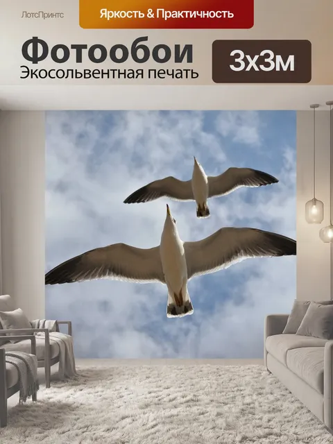 Фотообои Животное