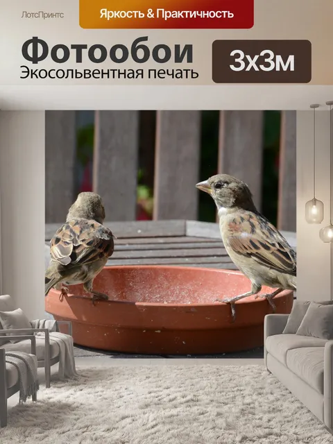Фотообои Воробьи