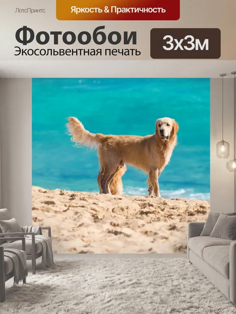 Фотообои Собака на пляже