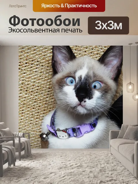 Фотообои Гата