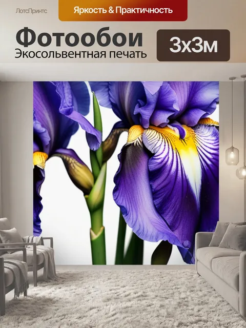 Фотообои с ирисами минимал