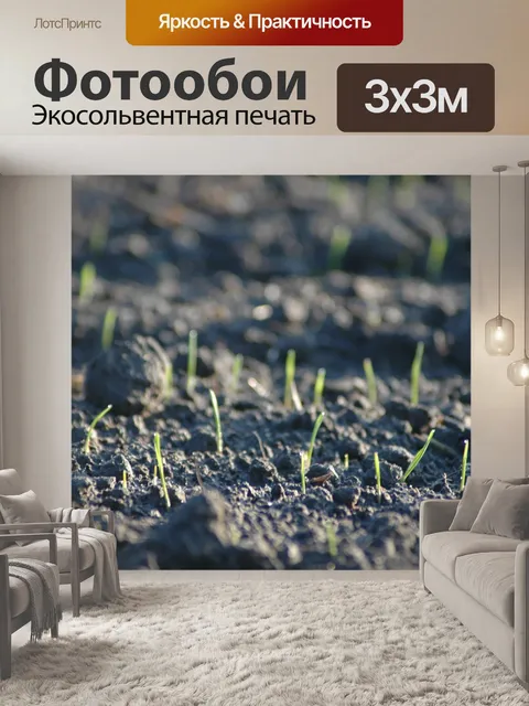 Фотообои Поля