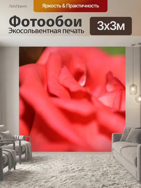 Фотообои Роза фон