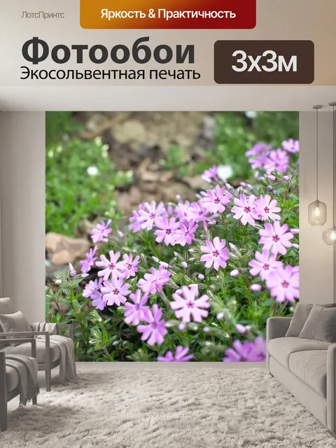 Фотообои Flowers