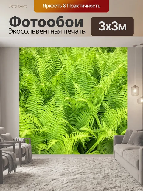 Фотообои зеленый фон папоротника