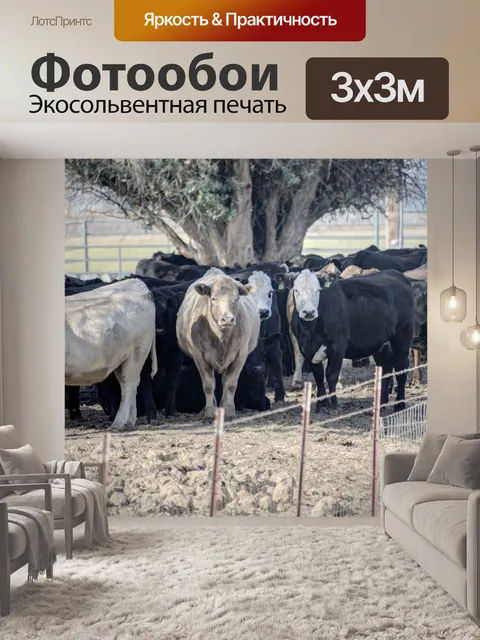 Фотообои Коровы под деревом