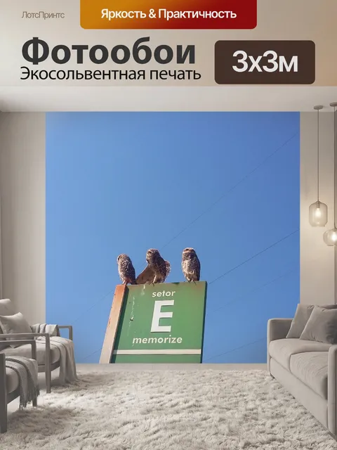 Фотообои Сова