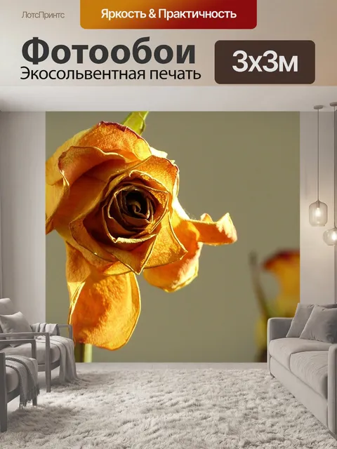 Фотообои Роза