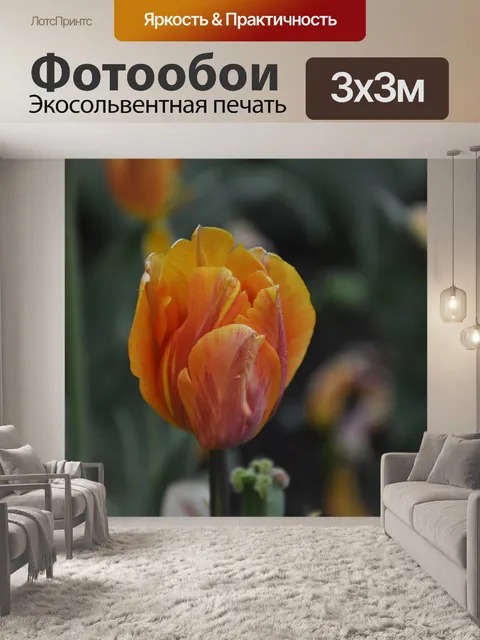 Фотообои Цветы