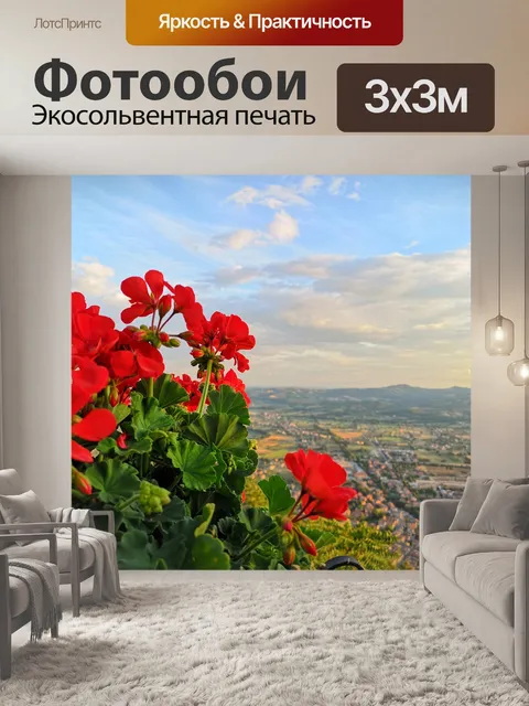 Фотообои Губбио