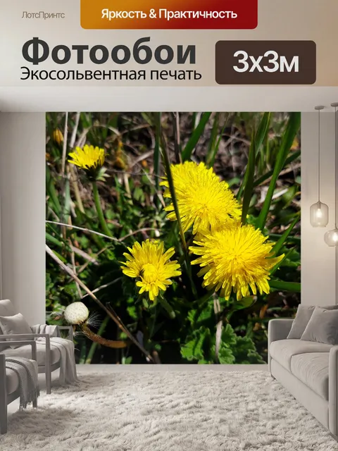 Фотообои Цветы