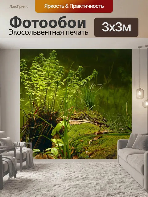 Фотообои Папоротник