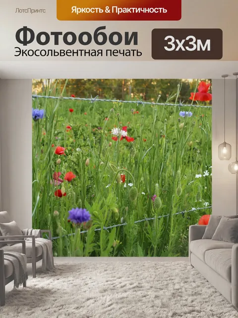 Фотообои Красочные Полевые цветы Красные маки