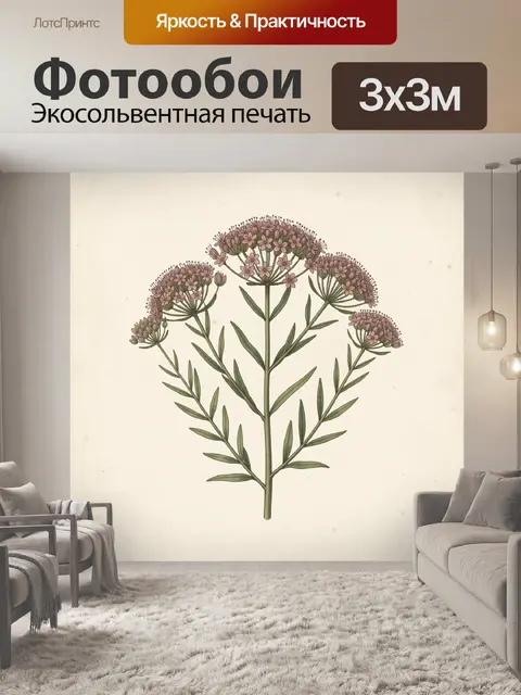 Фотообои Ботаническая иллюстрация с розовыми соцветиями