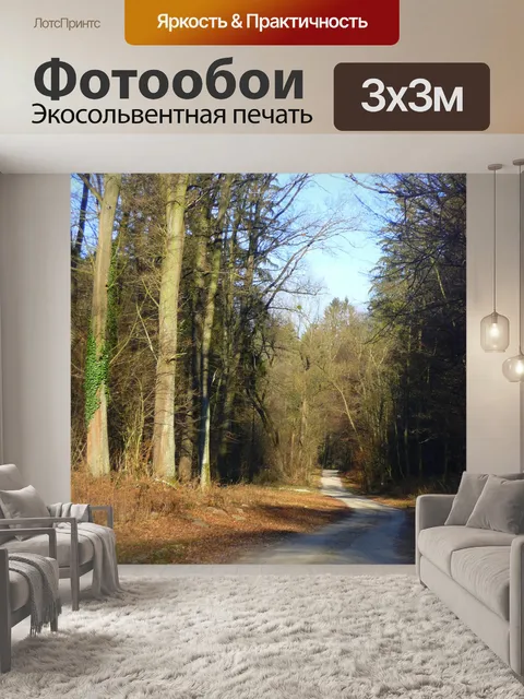Фотообои Лес