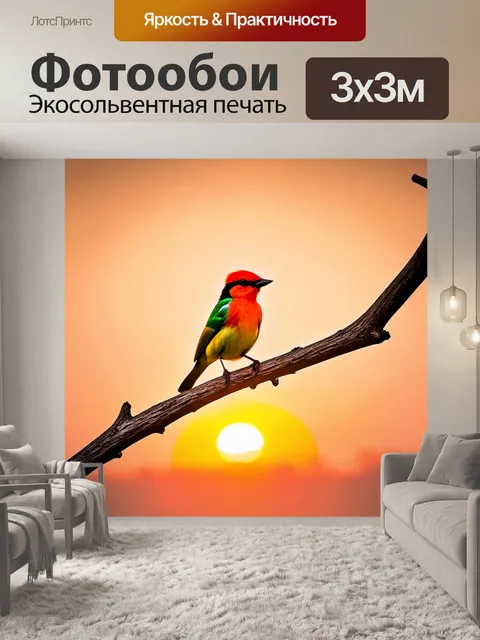 Фотообои ветвь, на которой сидит птица с ярким оперением, на фоне заката, теплые цвета