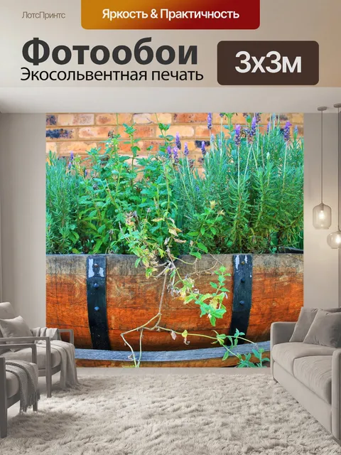 Фотообои лаванды баррель