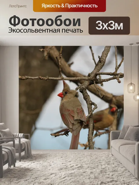 Фотообои Женские кардиналы в дереве