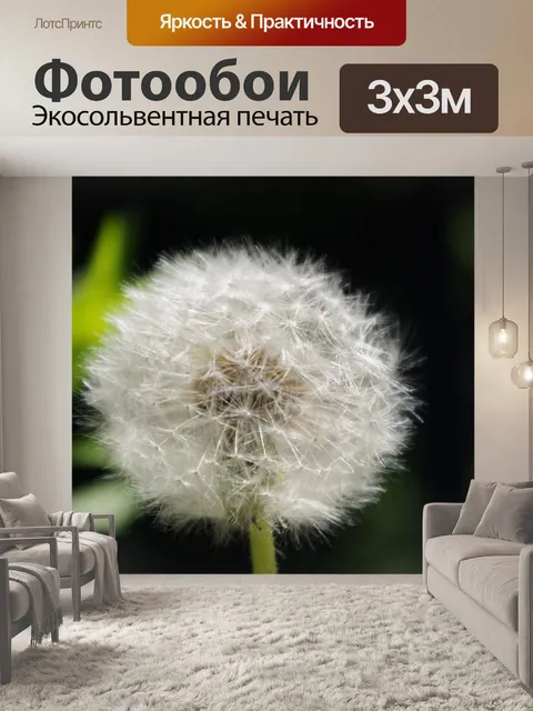 Фотообои Одуванчик