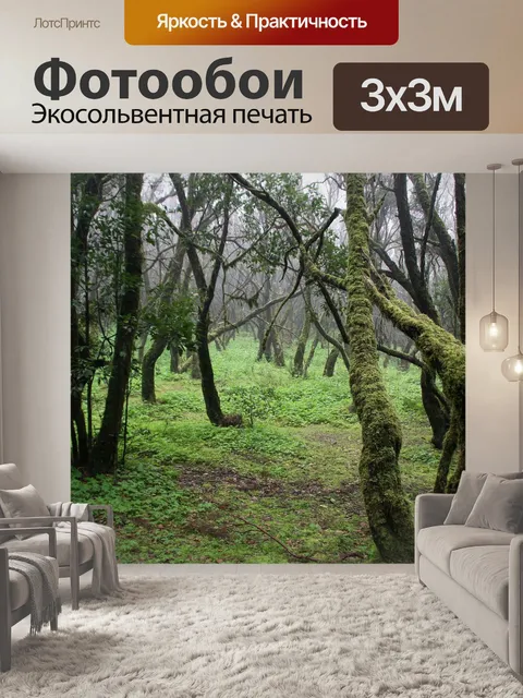 Фотообои Лес