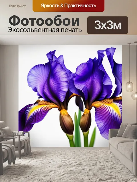Фотообои с цветами ирисов минимал