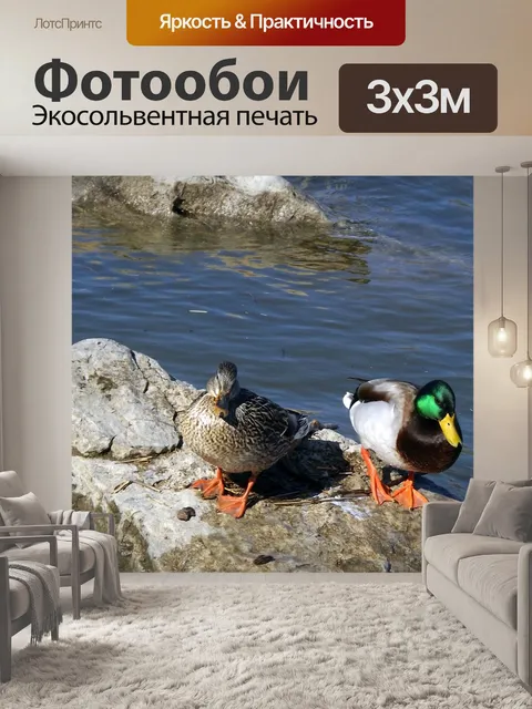 Фотообои Птицы