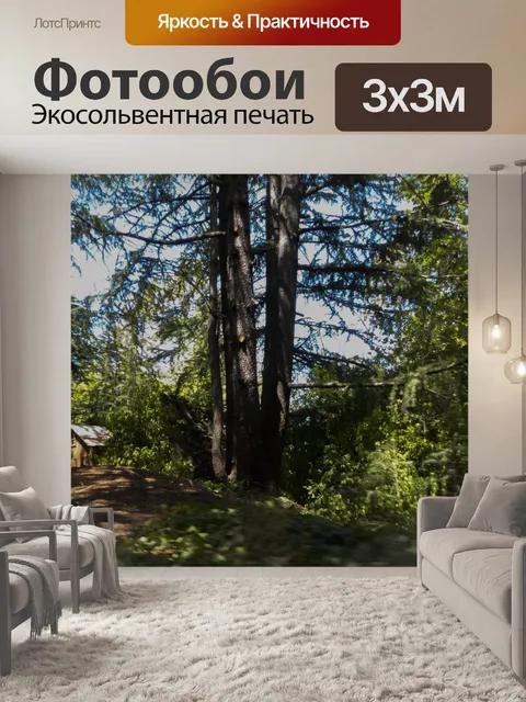 Фотообои Каюта в деревьях
