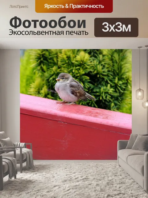 Фотообои Воробей