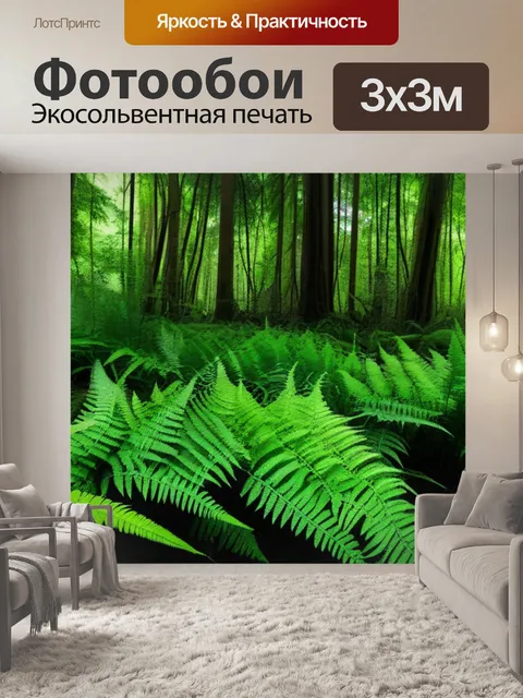 Фотообои лес, заполненный папоротниками