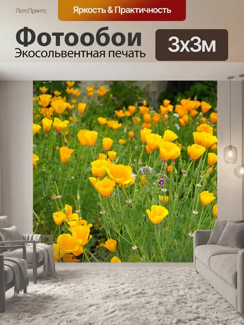 Фотообои Маки