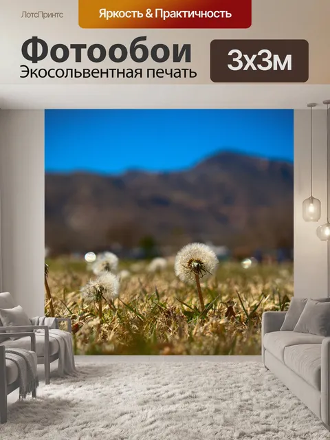 Фотообои Одуванчик