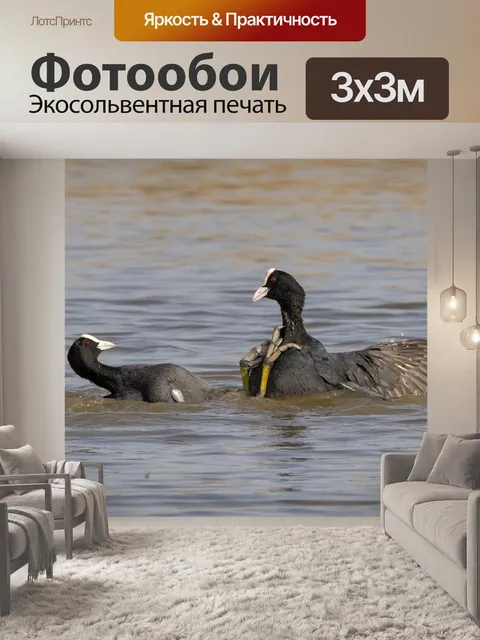 Фотообои Птицы