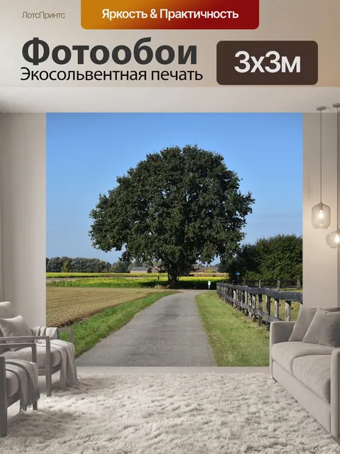 Фотообои Дерево
