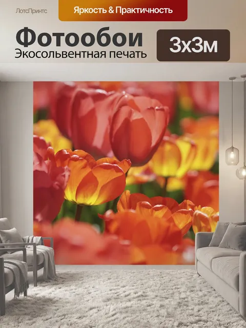 Фотообои Тюльпаны