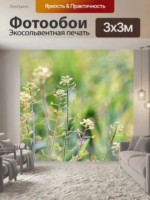 Фотообои Луг
