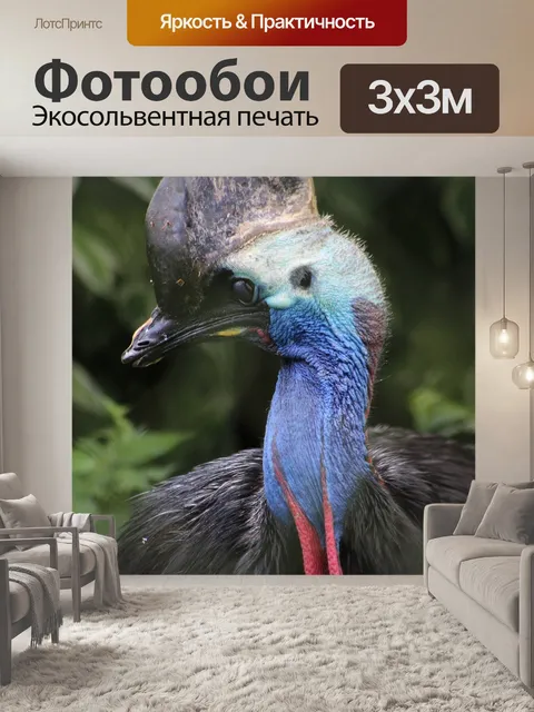 Фотообои Casawary