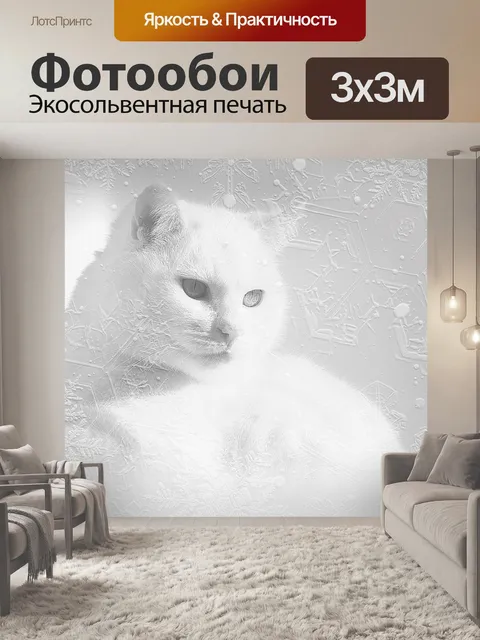 Фотообои Кот